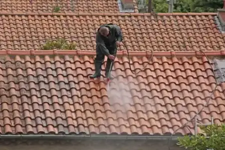 Nettoyage et démoussage de toiture à Berson à Berson